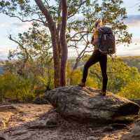 Admire the beauty of Girraween National Park
