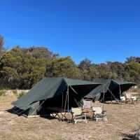 Campsite in Girraween National Park