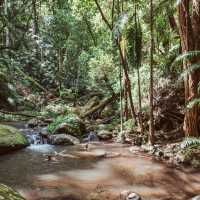 Discover peaceful swim spots