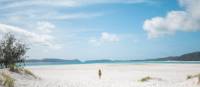 The world-famous white sands of Whitehaven Beach