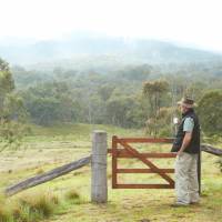 A wonderful morning on the Scenic Rim