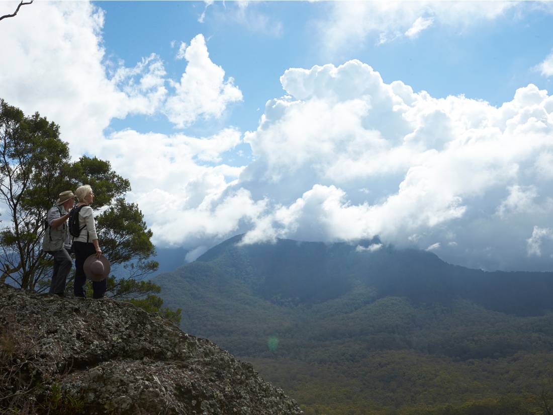 Views on the Scenic Rim Trail