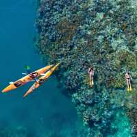 Snorkel the Whitsundays | SSV