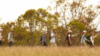 Scenic Rim walkers