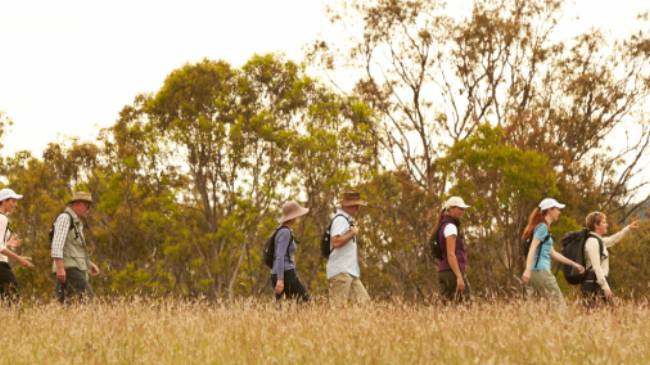 Scenic Rim walkers