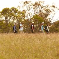 Scenic Rim walkers