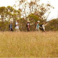 Scenic Rim walkers