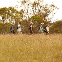 Scenic Rim walkers