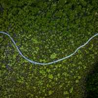 The Ngaro Track, Whitsunday Islands | Matt Horspool