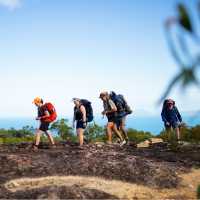 The Ngaro Track, Whitsunday Islands | Matt Horspool