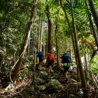 The Ngaro Track, Whitsunday Islands | Matt Horspool