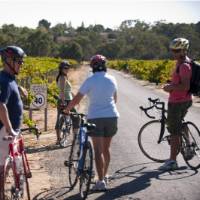 Meet up with friends and cycle the Barossa Trail | Matt Nettheim