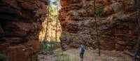 Alligator Gorge | Simon Bennett