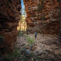 Alligator Gorge | Simon Bennett