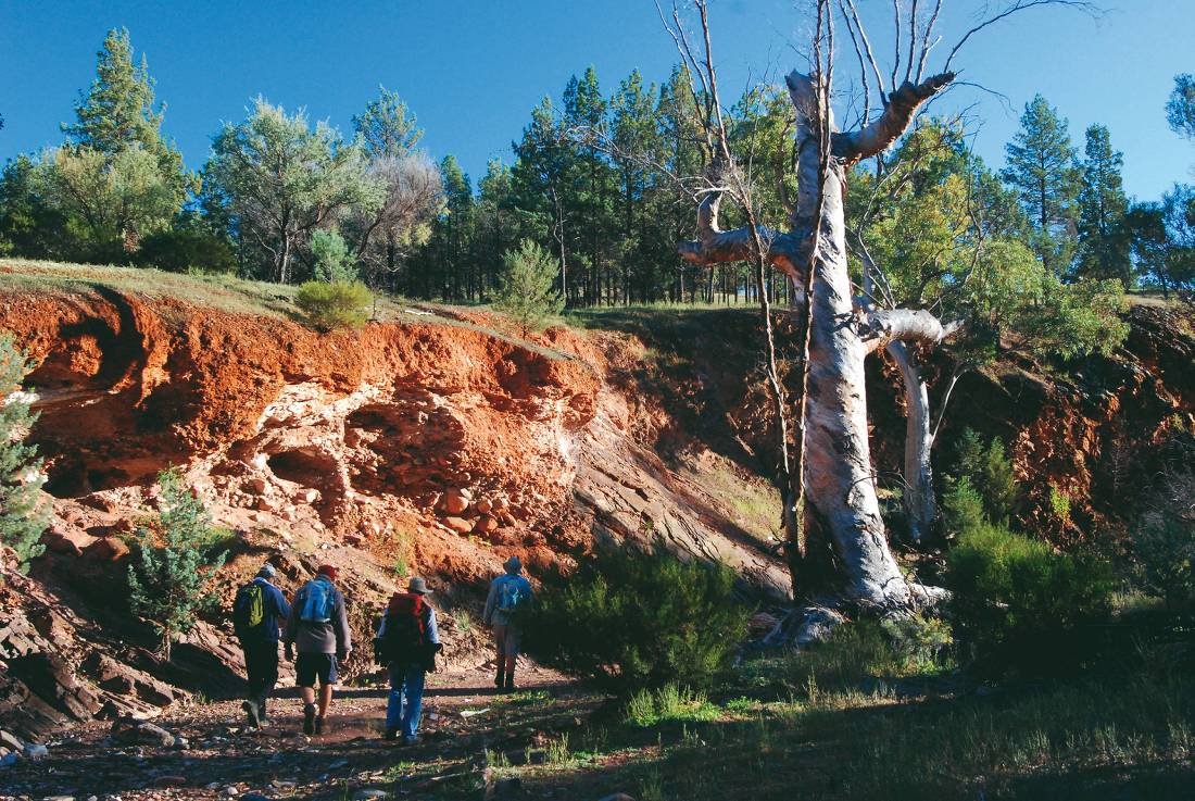 Walkers on the Heysen Trail |  <i>Chris Buykx</i>