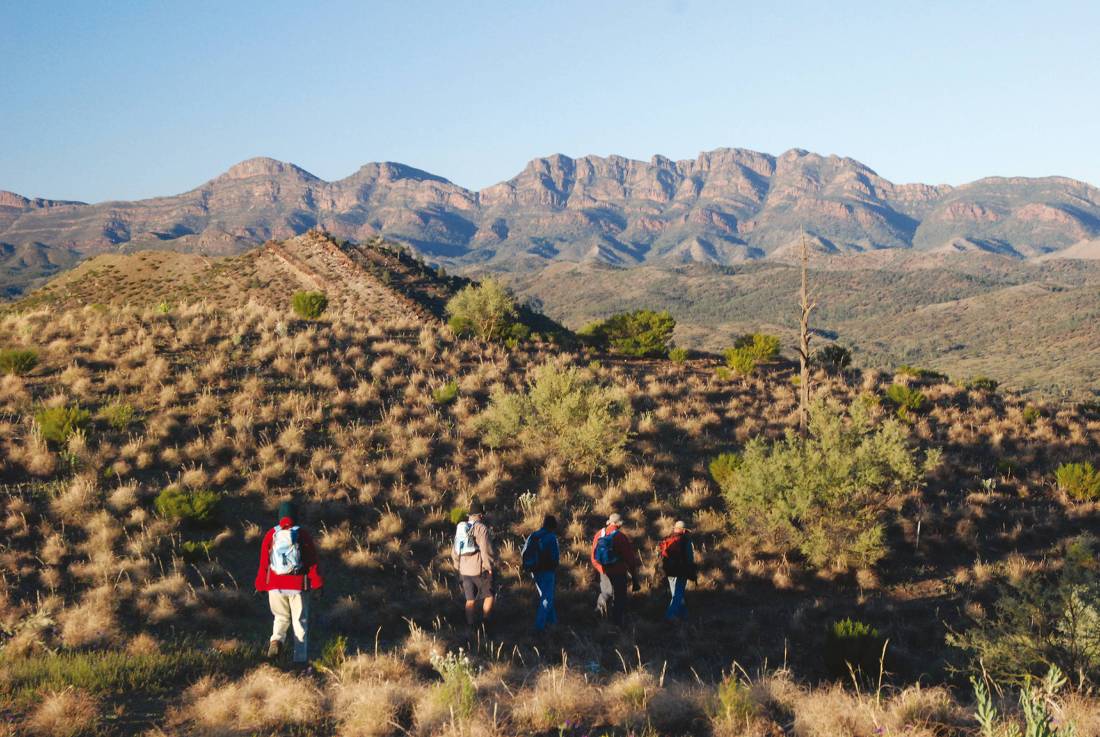 The Heysen Trail traverses the Bunyeroo Valley with Wilpena Pound in the background | <i>Chris Buykx</i>