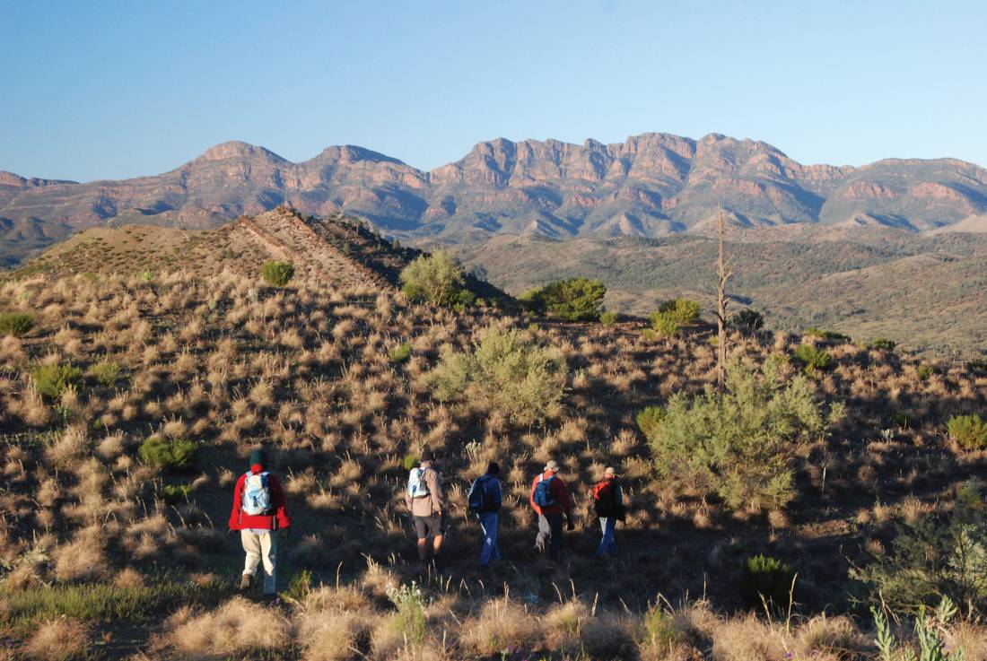 The Heysen Trail traverses the Bunyeroo Valley with Wilpena Pound in the background |  <i>Chris Buykx</i>