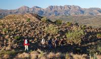 The Heysen Trail traverses the Bunyeroo Valley with Wilpena Pound in the background |  <i>Chris Buykx</i>