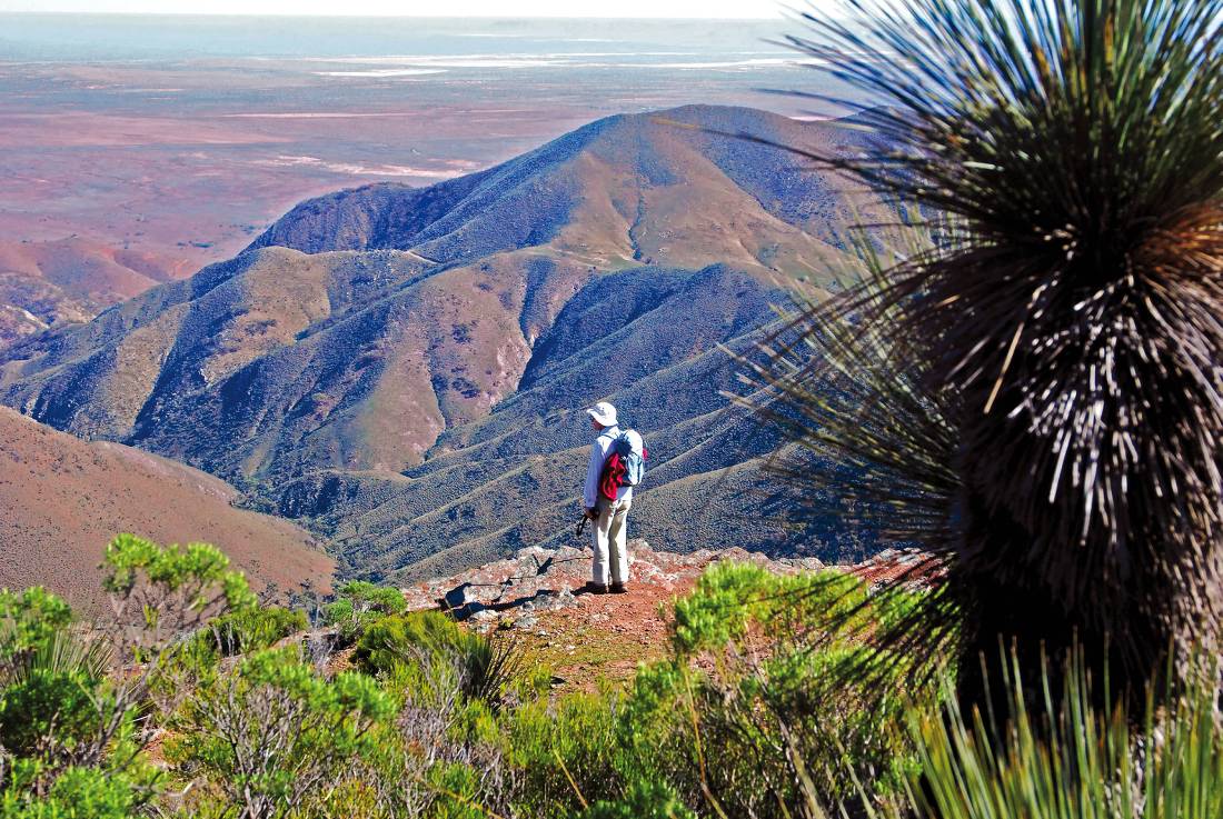 The summit of Dutchmans Stern is one of many highpoints in our Heysen Trail itinerary | <i>Chris Buykx</i>