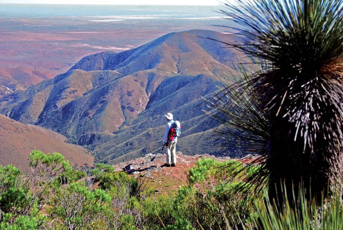 The summit of Dutchmans Stern is one of many highpoints in our Heysen Trail itinerary |  <i>Chris Buykx</i>
