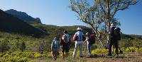 Walkers on the Heysen Trail in South Australia |  <i>Chris Buykx</i>