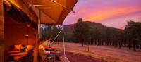 Ikara Safari Camp - Tents | Adam Bruzzone