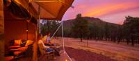 Ikara Safari Camp - Tents | Adam Bruzzone