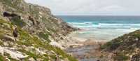 Exploring beaches on the Kangaroo Island Wilderness Trail | Isabelle Hardinge