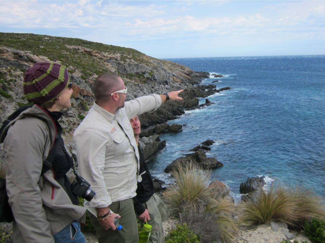 Marine wildlife watching on Kangaroo Island |  <i>Mark Bennic</i>