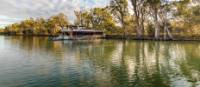 Relaxing boat cruises along the Murray River Walk