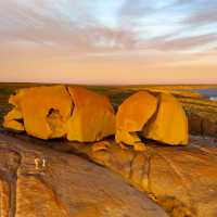 Remarkable Rocks - Kangaroo Island Wilderness Trail | Morgan Sette