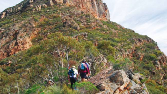 St Marys Peak, Heysen Trail, South Australia | Chris Buykx