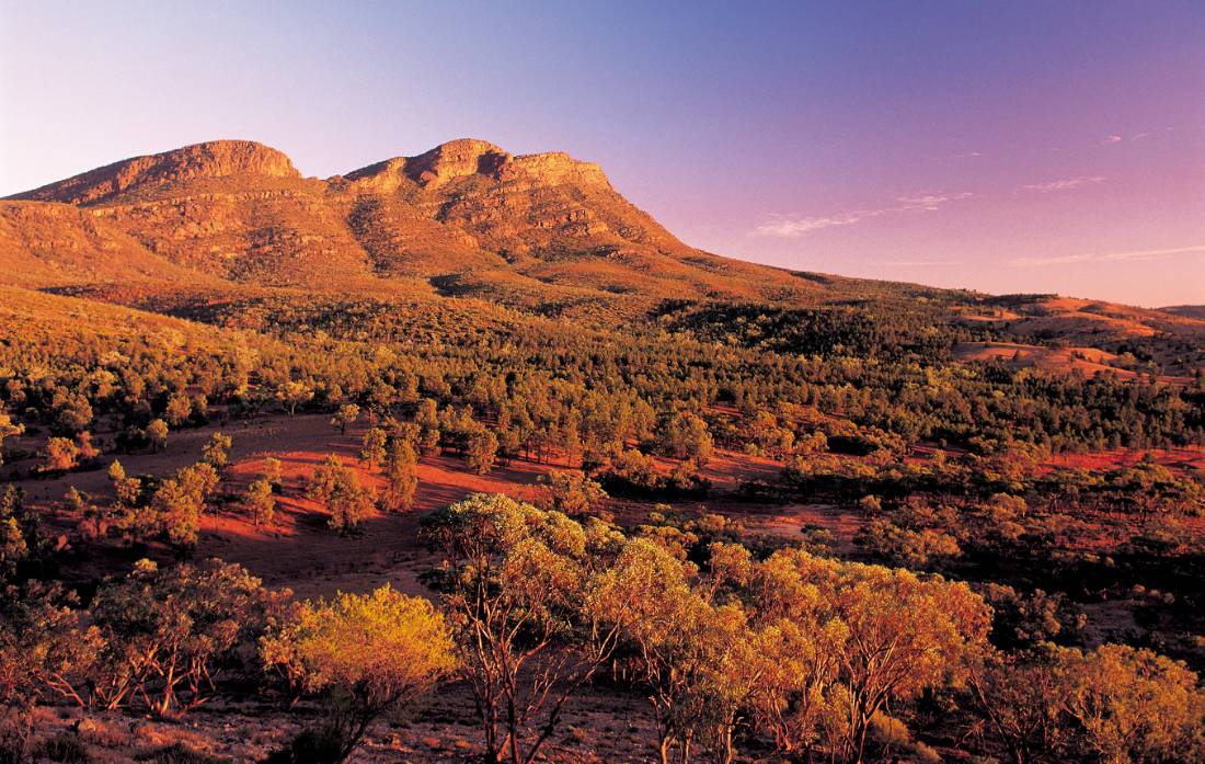 Bask in the glow of striking sunsets at Wilpena Pound |  <i>Adam Bruzzone</i>