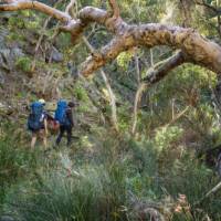 Wild South Coast Way | Heidi Lewis