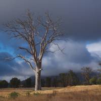 Stormy skies over Wilpena Pound in the Flinders Ranges | Dan Westergren