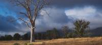 Stormy skies over Wilpena Pound in the Flinders Ranges | Dan Westergren