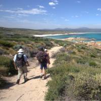 Walking on Flinders Island | Graham Freeman