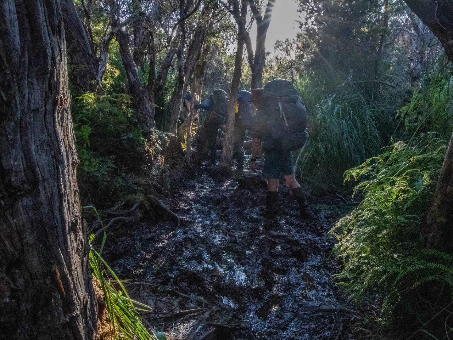 The terrain on the South Coast Track can be very muddy |  <i>John Dalton</i>