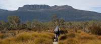 Walking on the Overland Track | Linda Murden