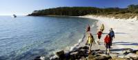 Walkers on 4 Mile Beach on Maria Island