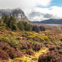 Autumn Colours in the foothills of King David's Peak | Mike Edmondson