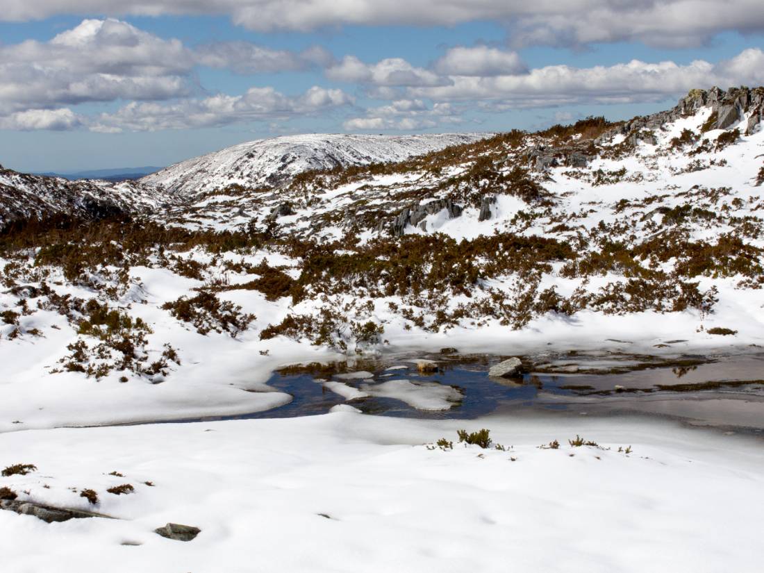 Scenery around the Cradle Mountains |  <i>Paul Maddock</i>