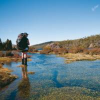 Trekkers carry a full pack on our Walls of Jerusalem self guided walks | Aran Price