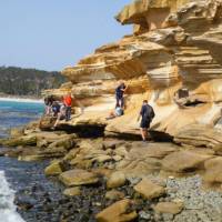 Explore the beautiful Painted Cliffs on Tasmania's Maria Island | Toni Wythes