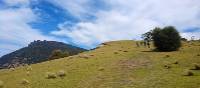 Explore Tasmania's Maria Island by foot | Oscar Bedford