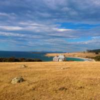 Explore Tasmania's Maria Island by foot | Oscar Bedford