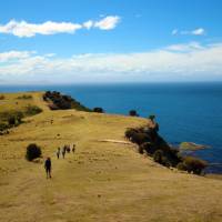 Explore Tasmania's Maria Island by foot | Oscar Bedford