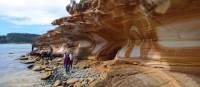 Explore Tasmania's Maria Island by foot | Oscar Bedford