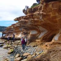 Explore Tasmania's Maria Island by foot | Oscar Bedford