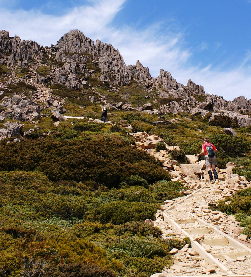 Heading to the summit of Cradle Mountain |  <i>Gesine Cheung</i>